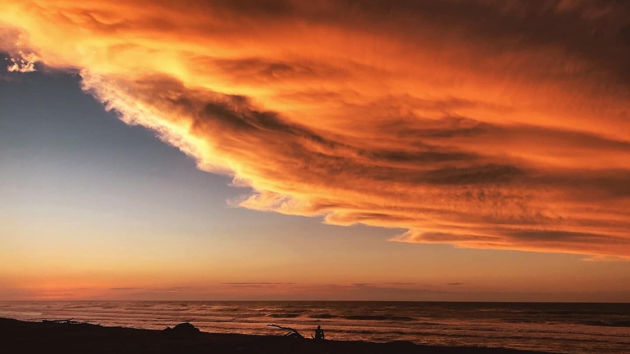 Photo of Others in Hokitika