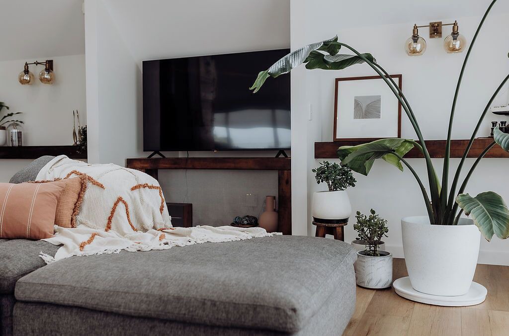 Photo of Others in Hokitika