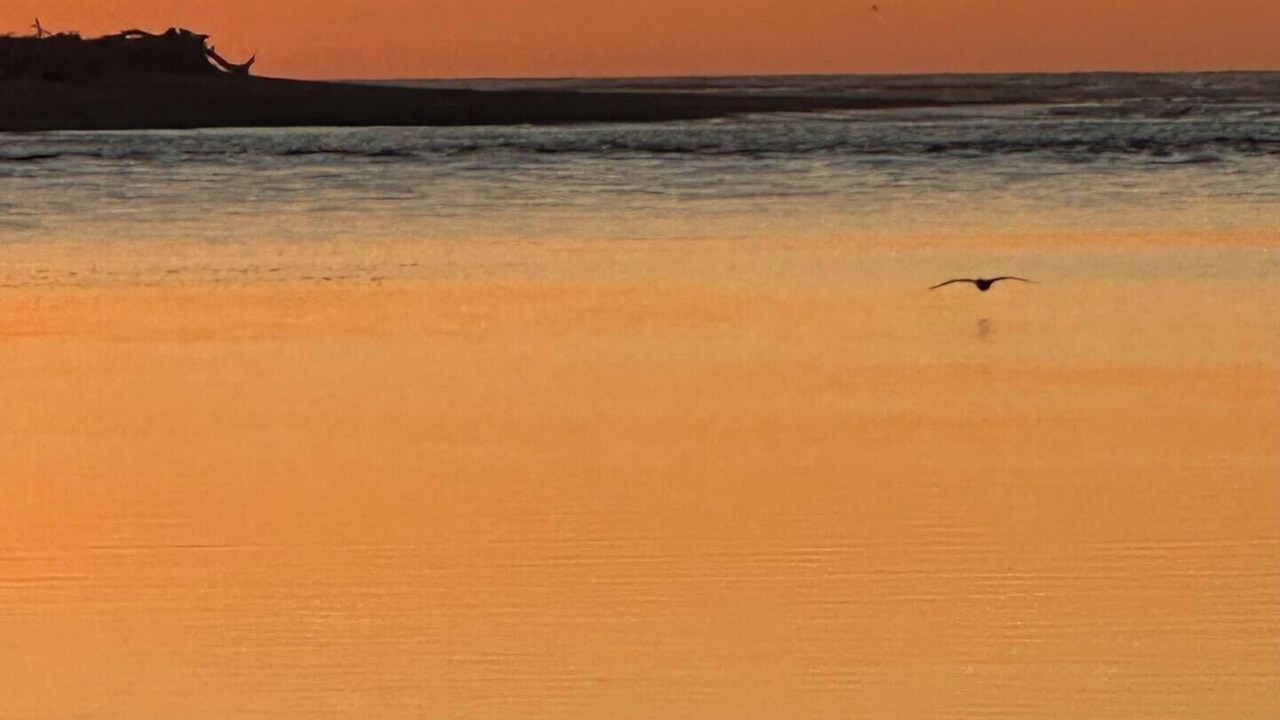 Photo of Others in Hokitika