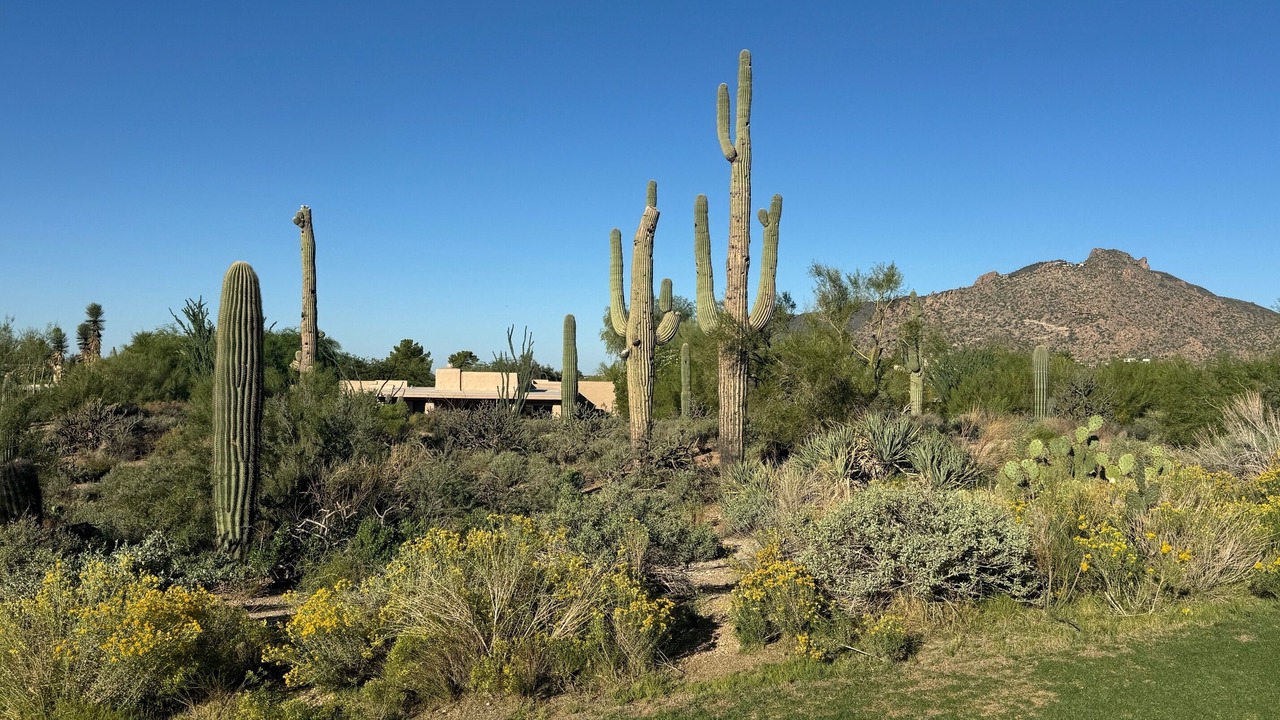 Photo of Others in Scottsdale