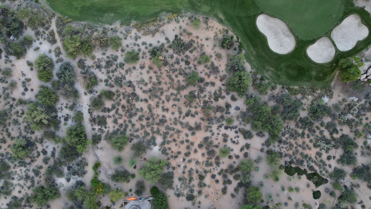 Photo of Others in Scottsdale