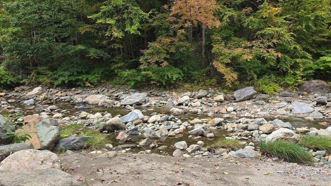 Photo of Others in Williamsville
