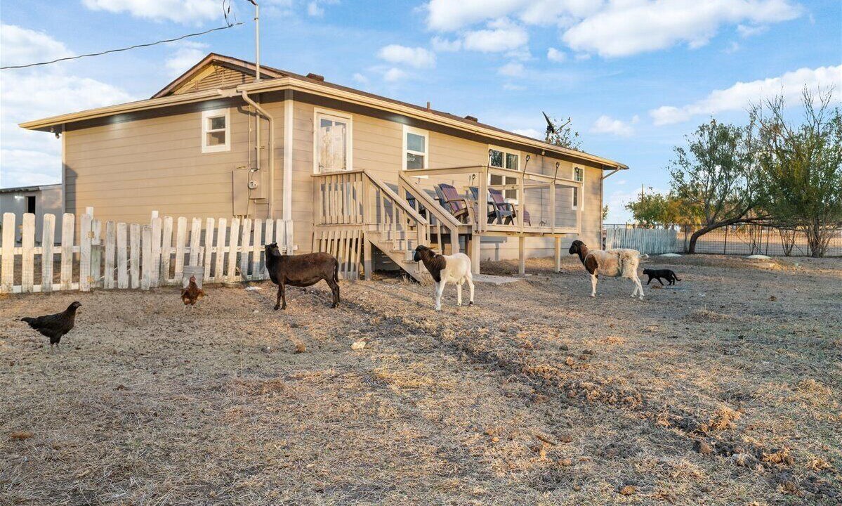 Photo of Outdoor in Del Valle