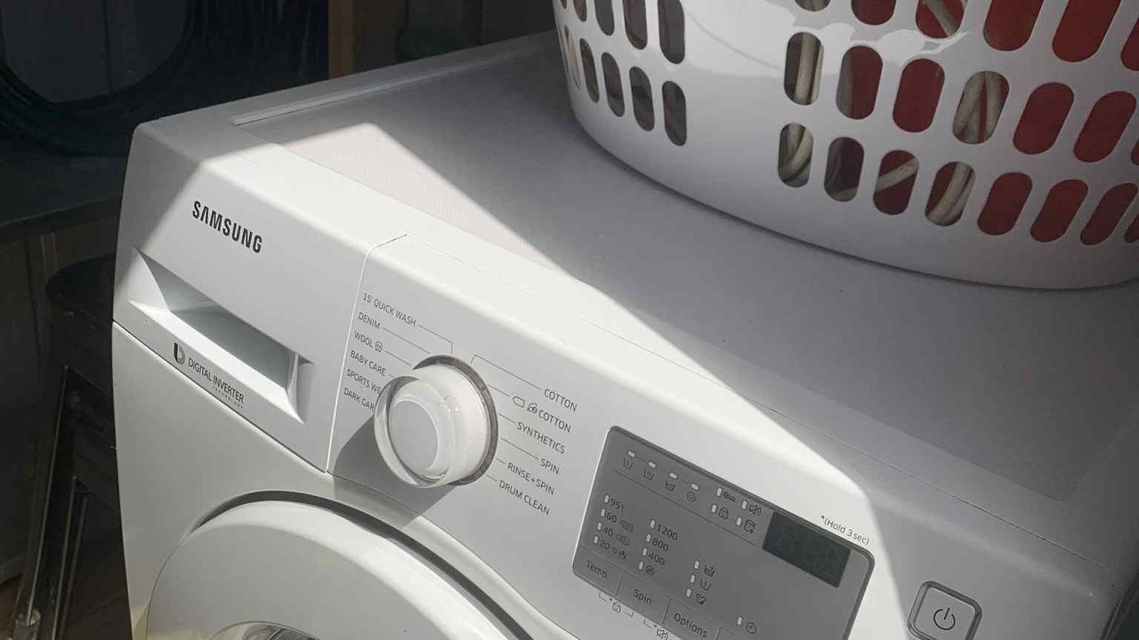 Photo of Others in Whitianga