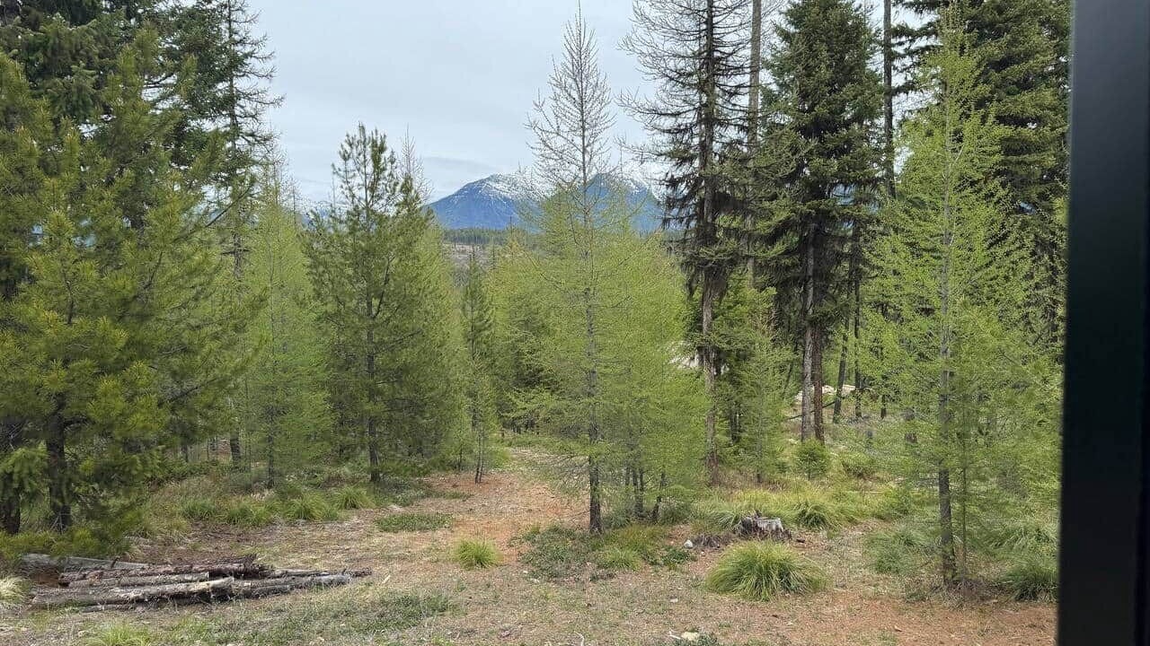 Photo of Others in Seeley Lake