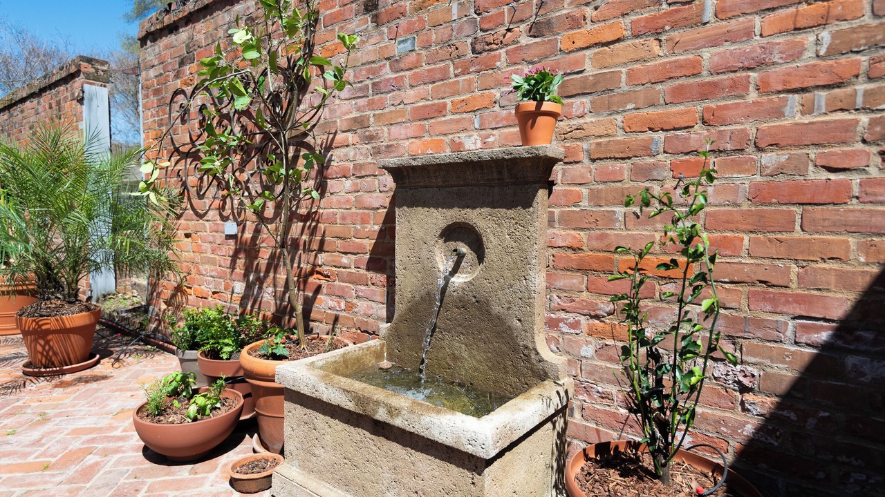 Photo of Outdoor in Natchez