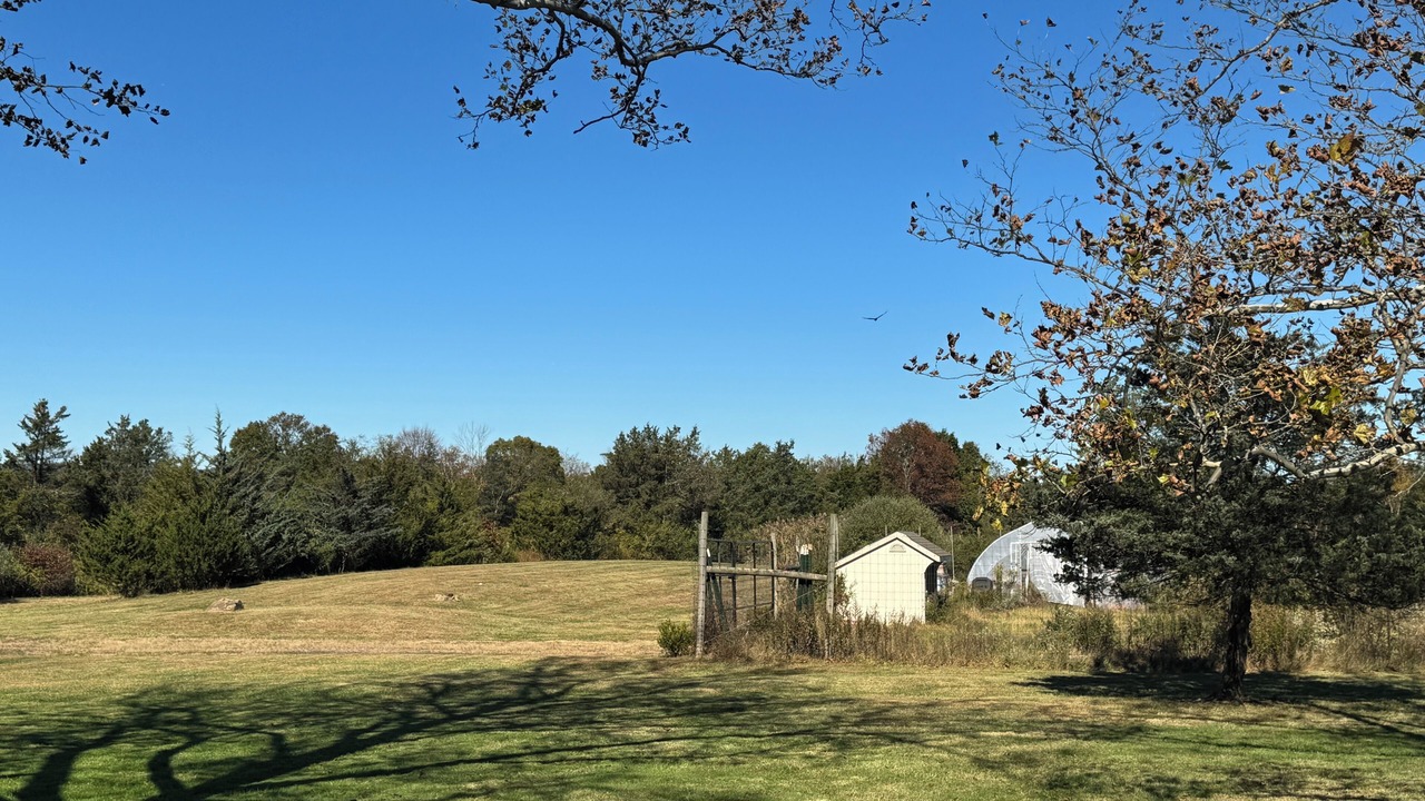 Photo of Outdoor in Pluckemin