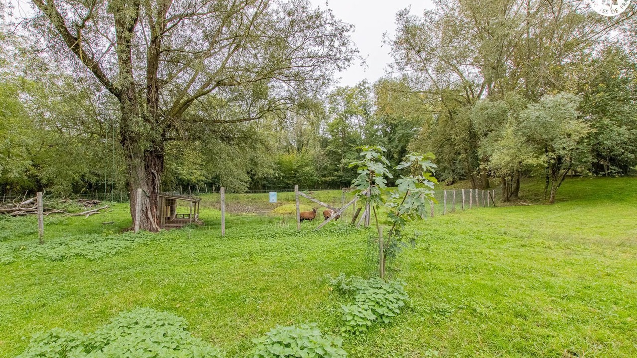 Photo of Outdoor in Saint Usuge