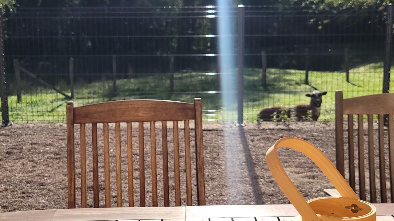 Photo of Outdoor in Saint Usuge