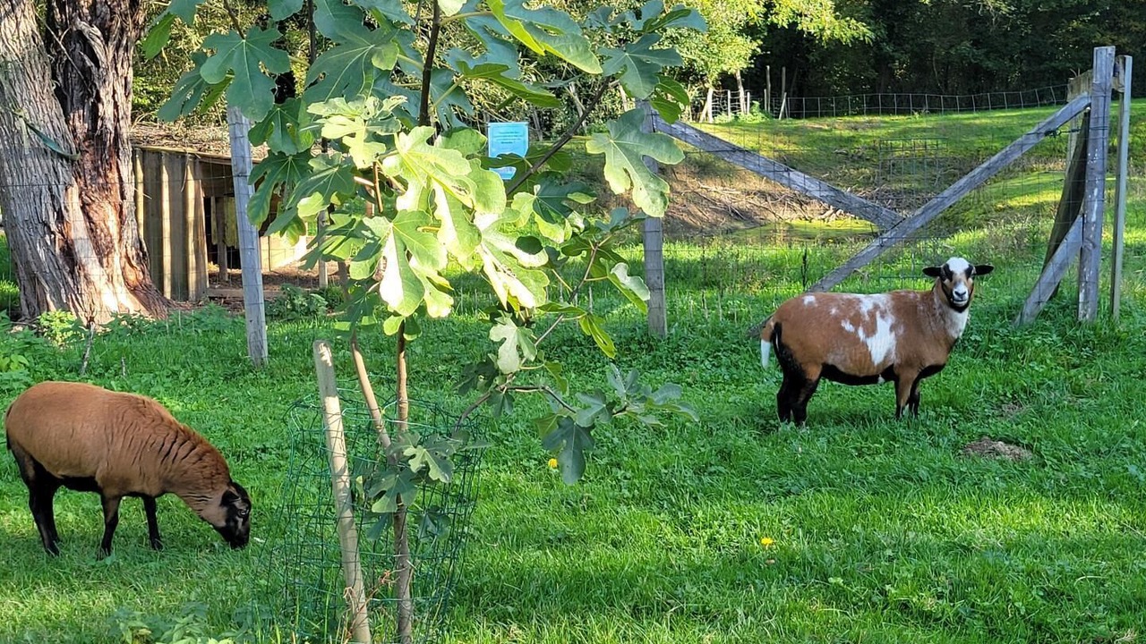 Photo of Others in Saint Usuge