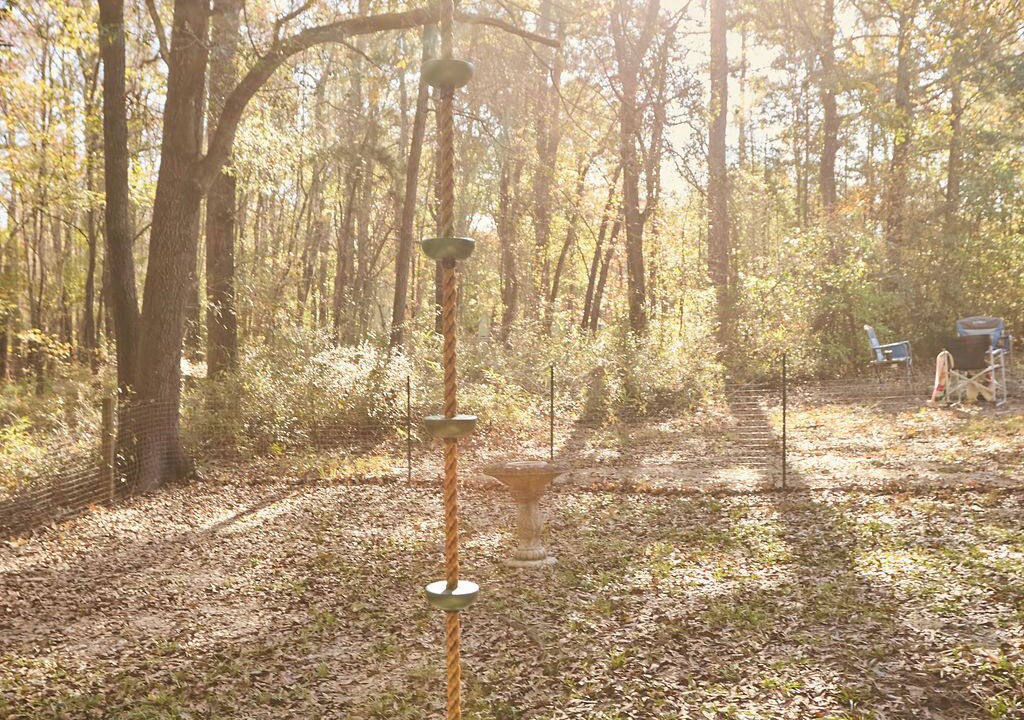 Photo of Outdoor in Burgaw