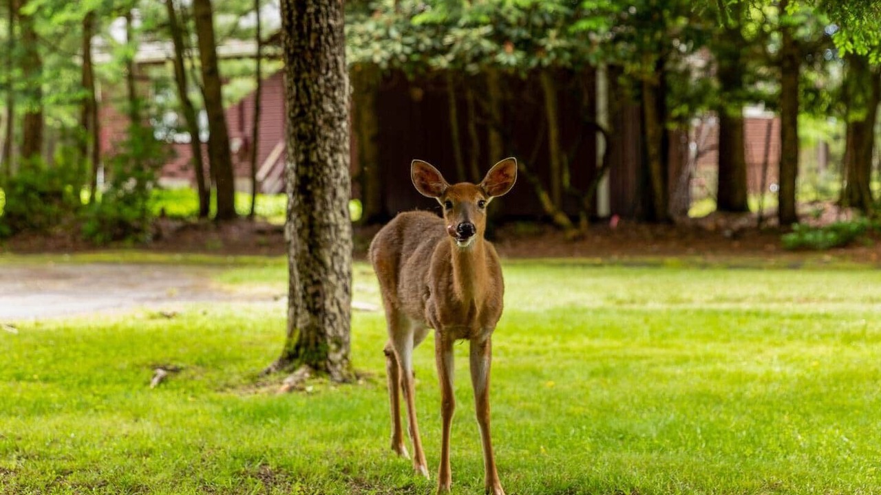 Photo of Outdoor in Smallwood