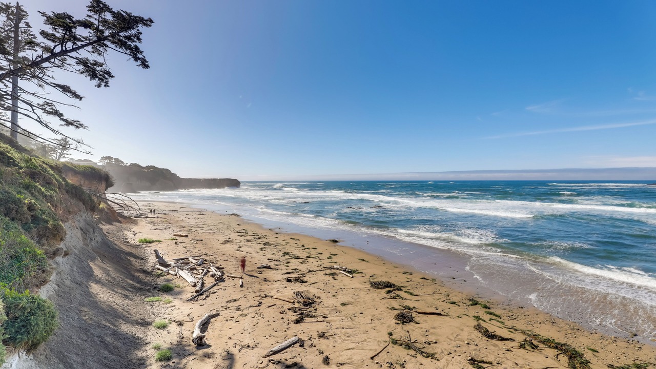 Photo of Others in Otter Rock