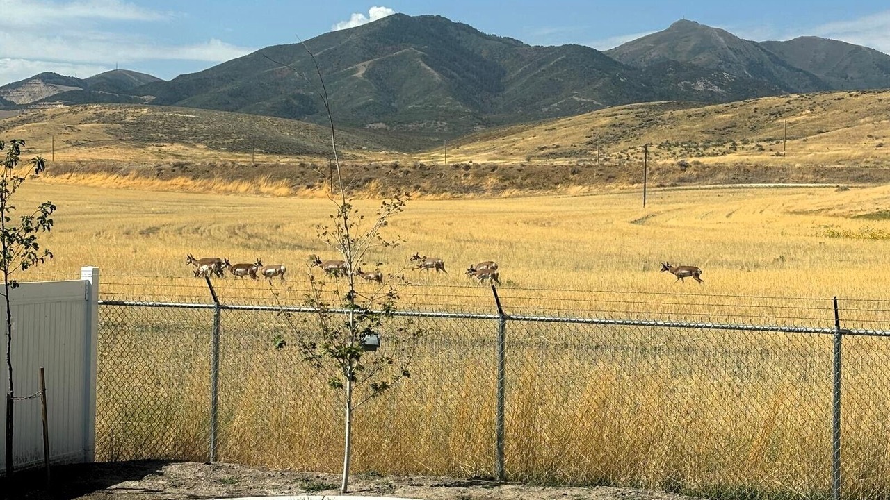 Photo of Others in Salt Lake County