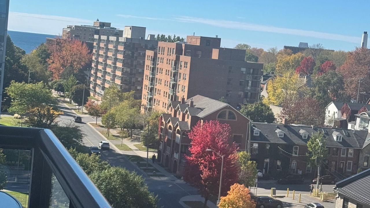 Photo of Outdoor in Kingston
