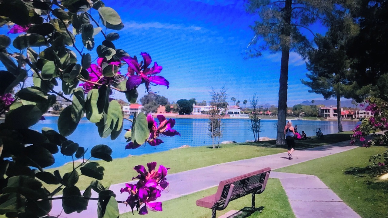 Photo of Others in McCormick Ranch