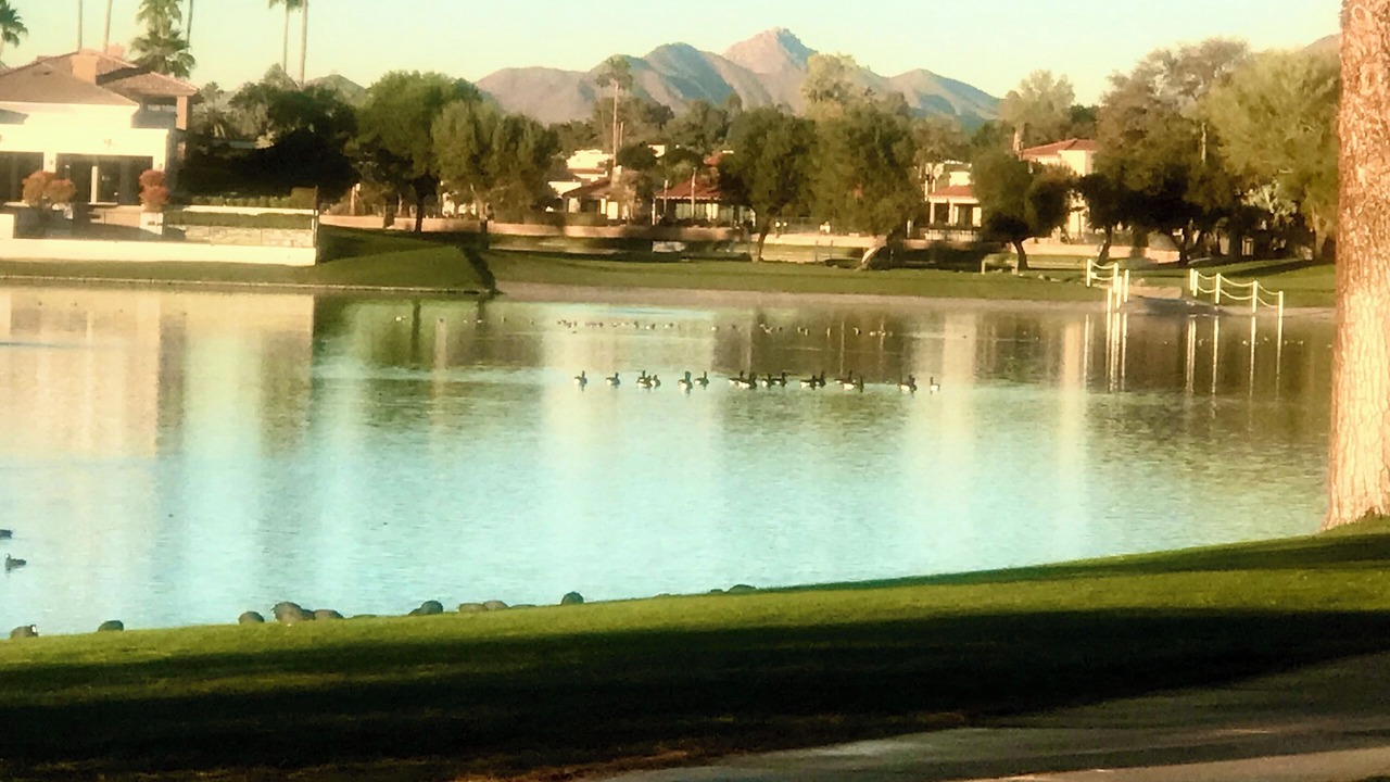 Photo of Others in McCormick Ranch