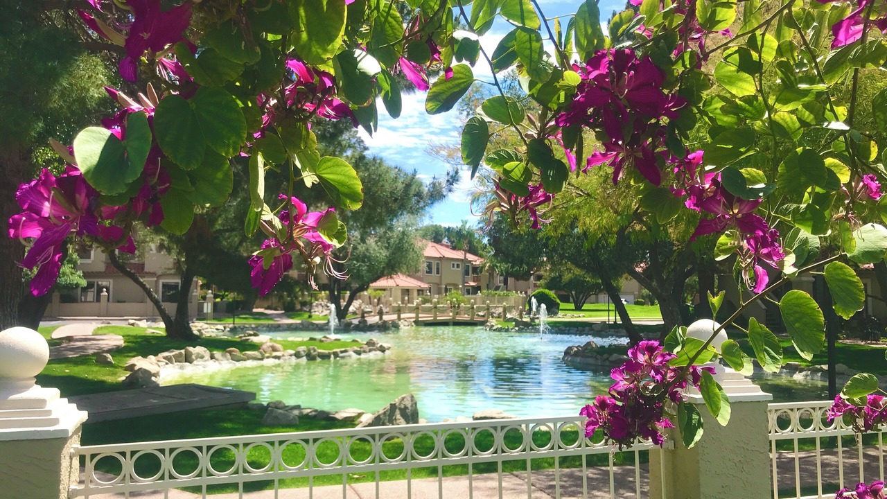 Photo of Others in McCormick Ranch