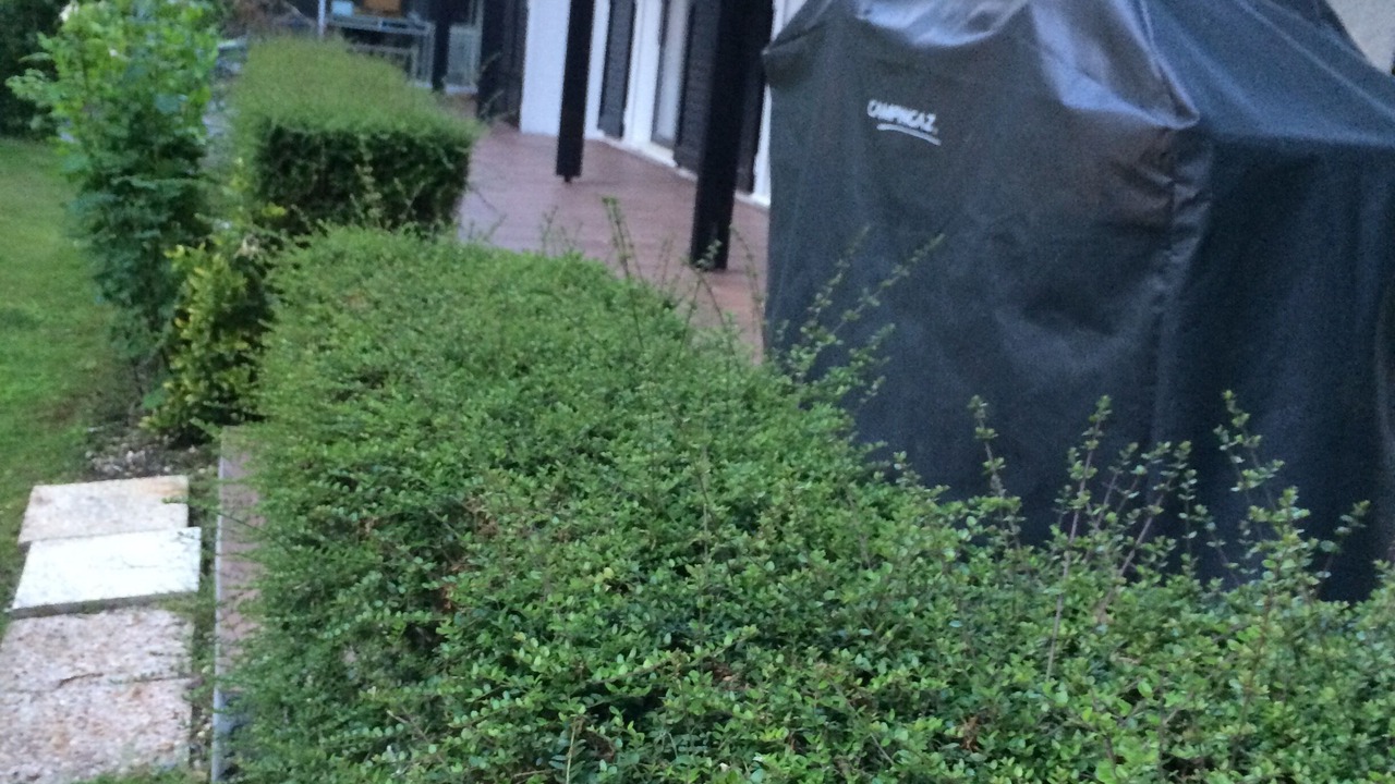 Photo of Outdoor in Savigny-sur-Clairis