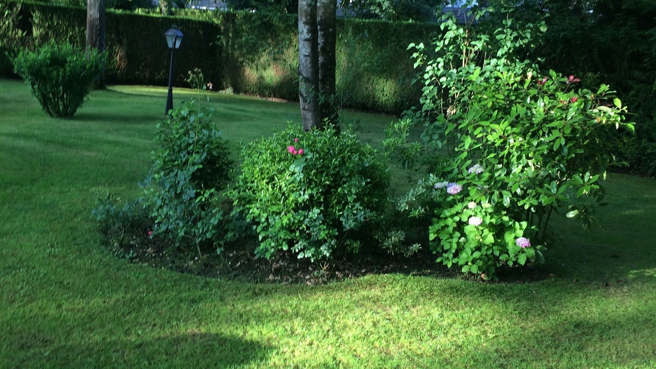 Photo of Outdoor in Savigny-sur-Clairis