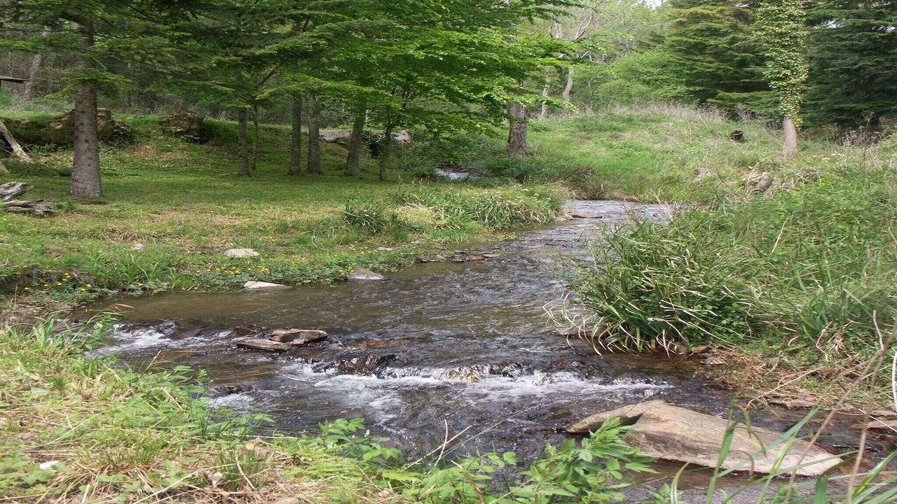 Photo of Others in Fontiers-Cabardes