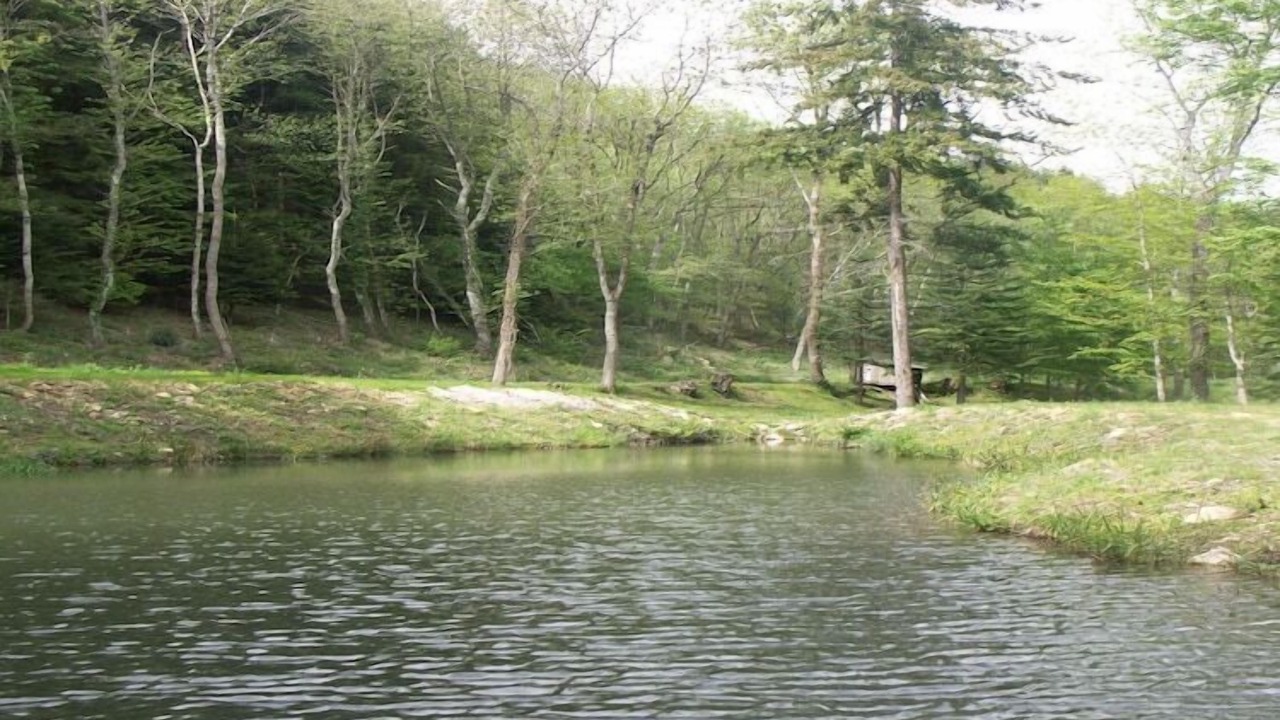 Photo of Others in Fontiers-Cabardes