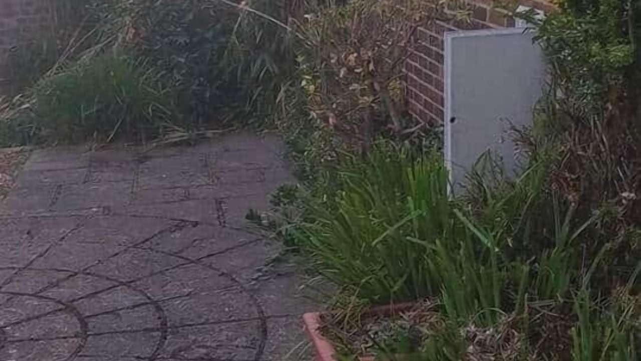 Photo of Outdoor in St Michaels