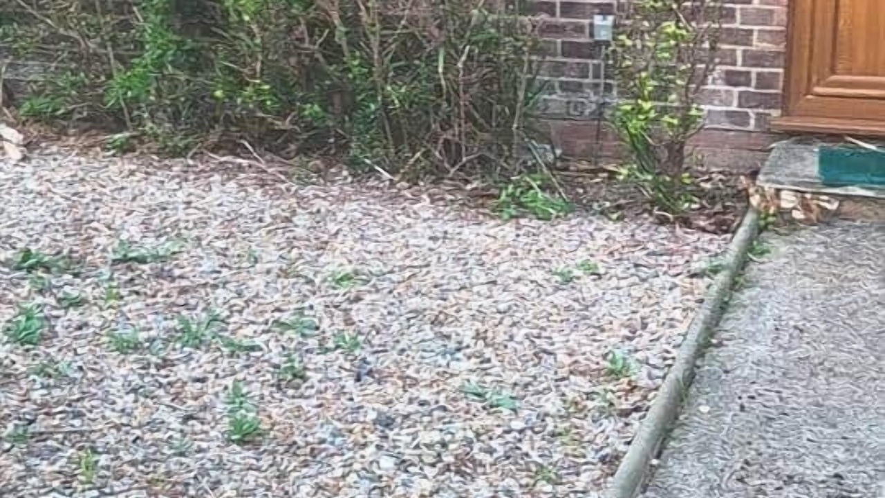 Photo of Outdoor in St Michaels