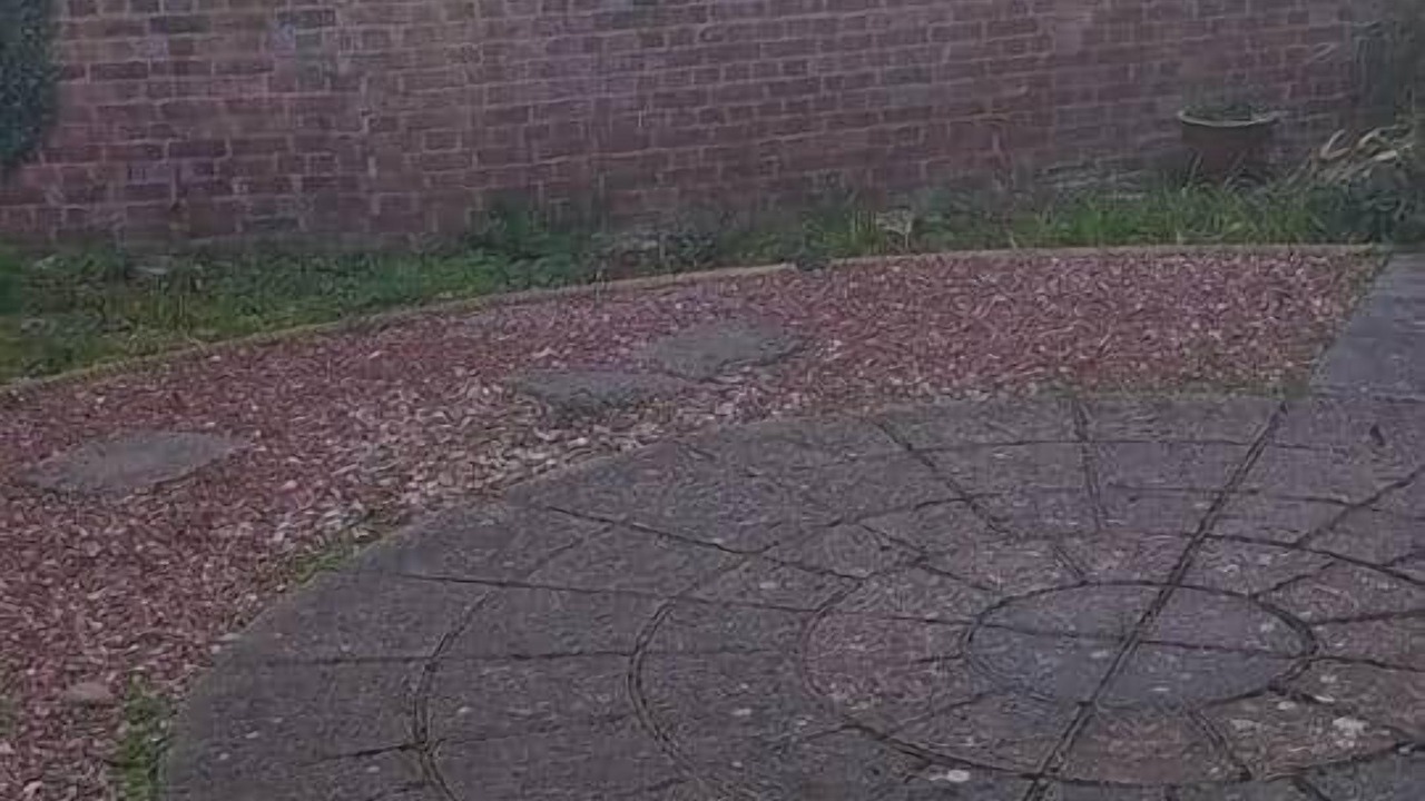 Photo of Outdoor in St Michaels