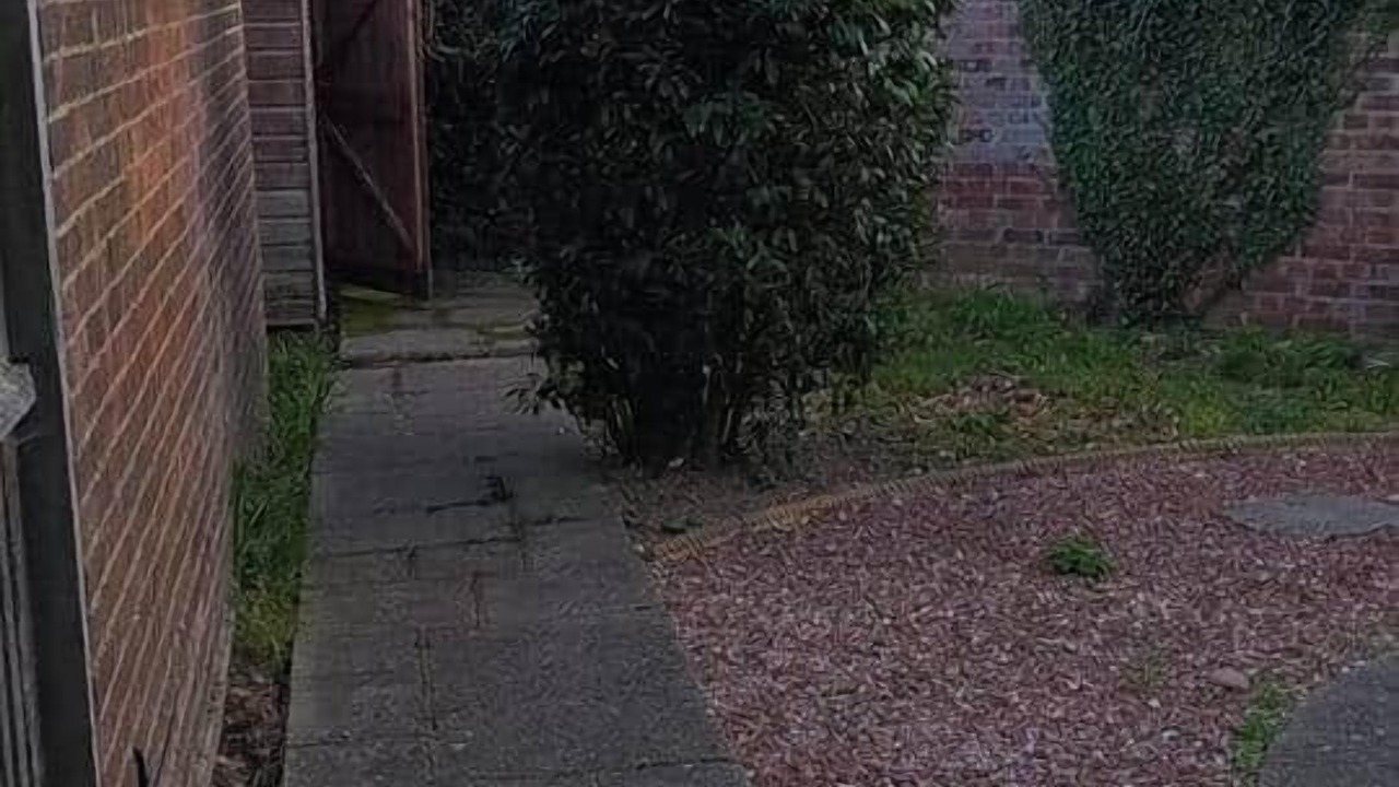 Photo of Outdoor in St Michaels