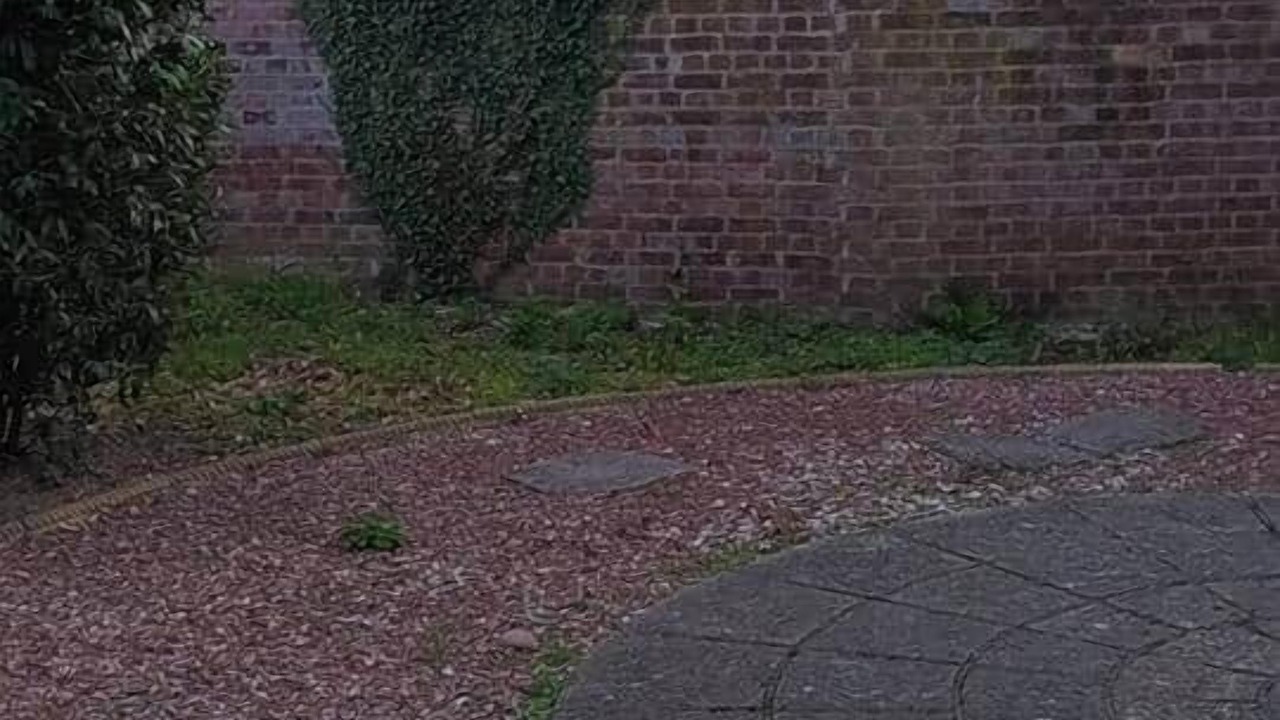 Photo of Outdoor in St Michaels