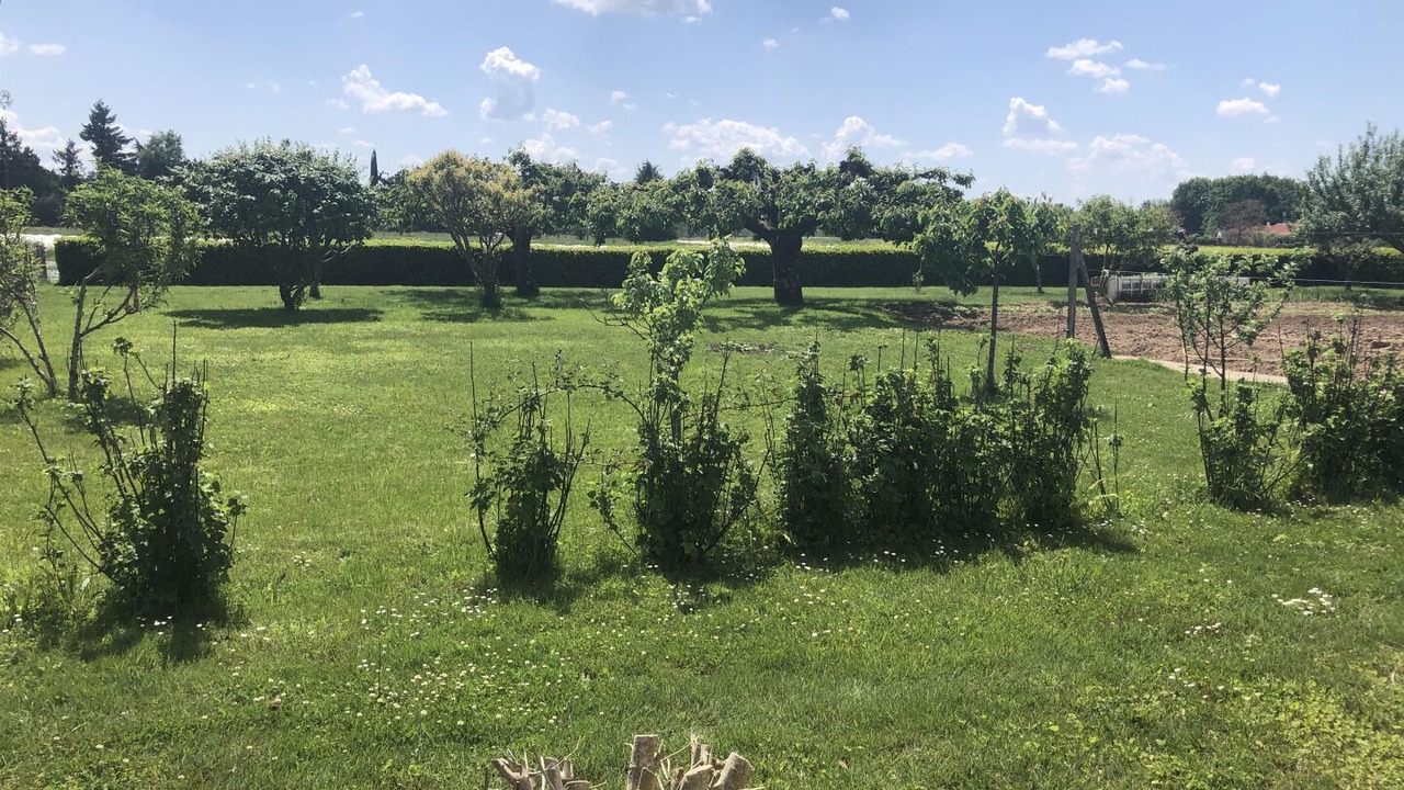 Photo of Outdoor in Lescure-dAlbigeois