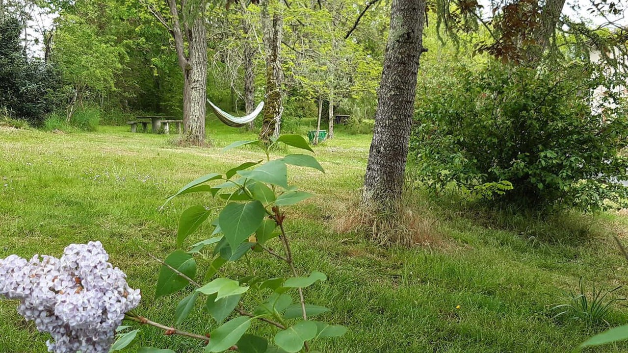 Photo of Outdoor in Servies