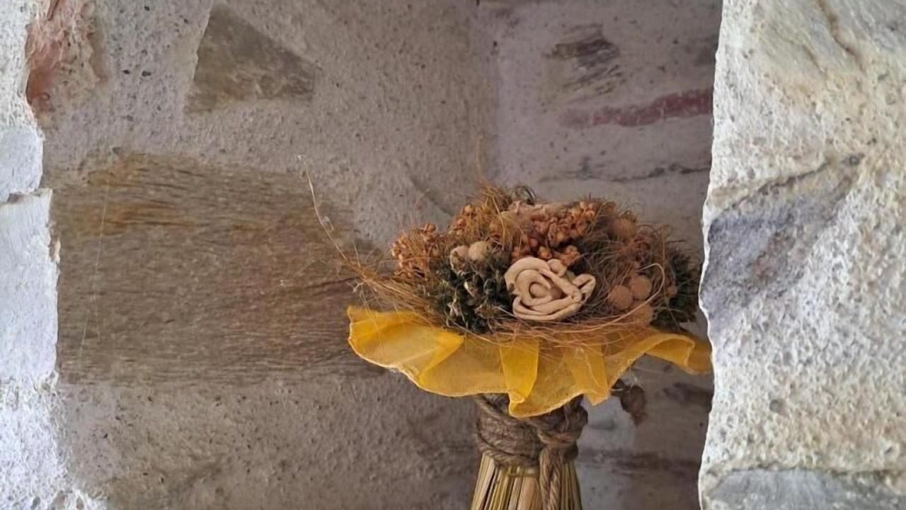 Photo of Others in Burlats