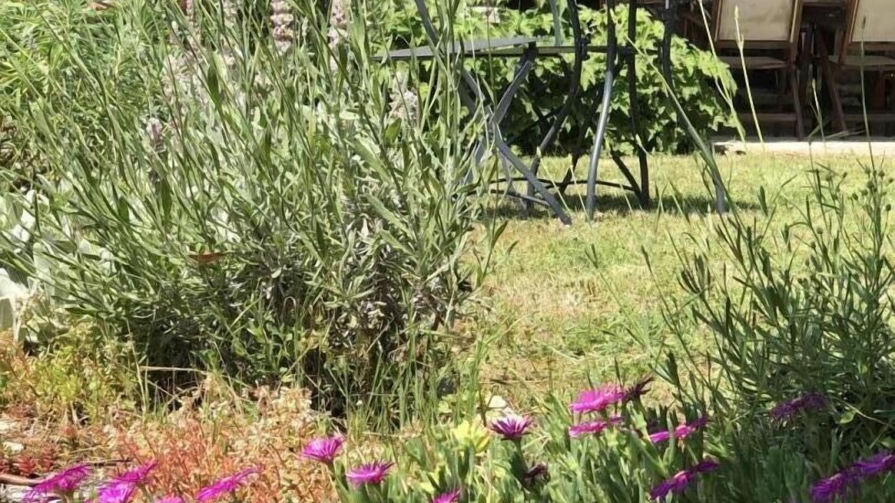 Photo of Outdoor in Vaour