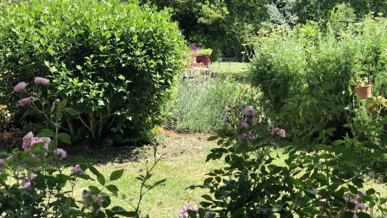 Photo of Outdoor in Vaour