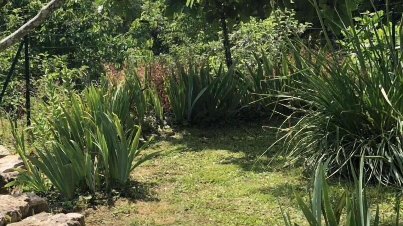 Photo of Outdoor in Vaour