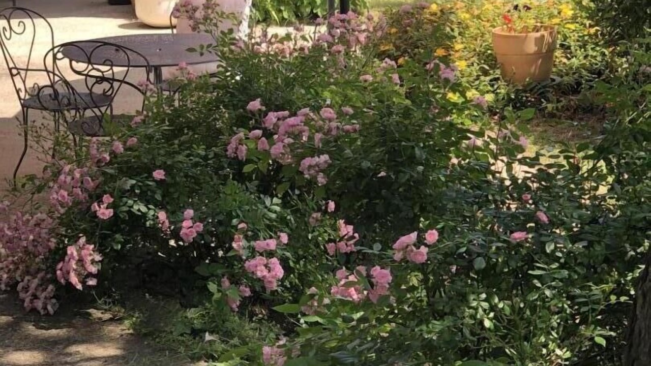 Photo of Patio Balcony in Vaour