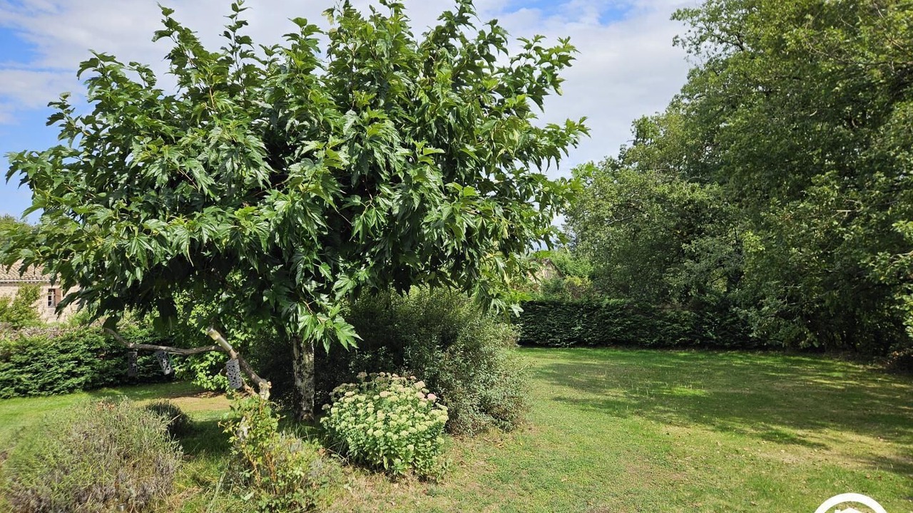 Photo of Outdoor in Vaour