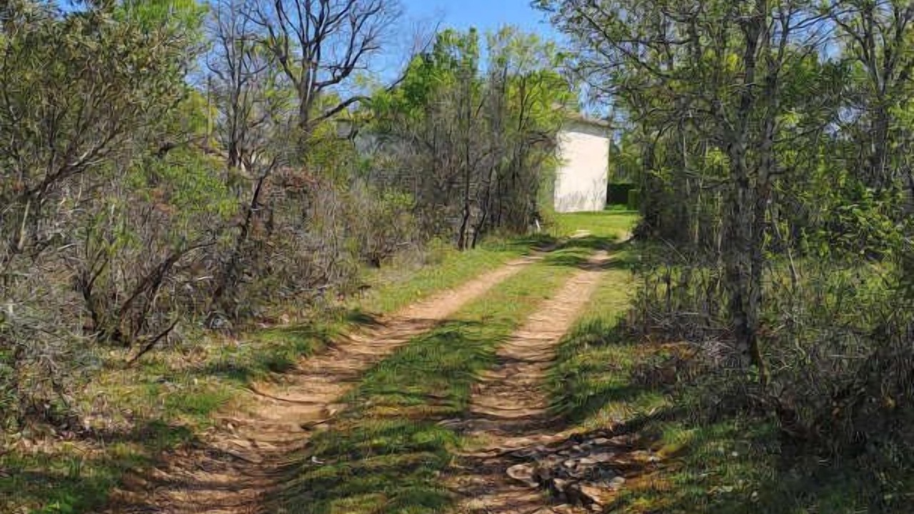 Photo of Others in Penne