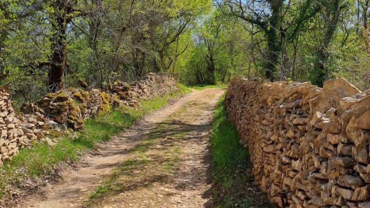 Photo of Others in Penne