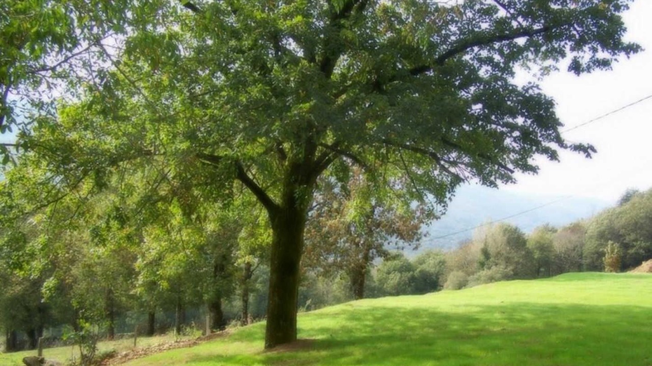 Photo of Others in Bout-du-Pont-de-Larn