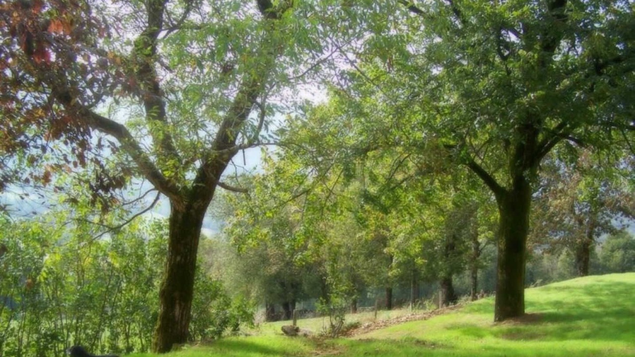 Photo of Others in Bout-du-Pont-de-Larn