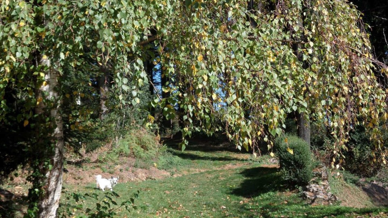 Photo of Outdoor in Bout-du-Pont-de-Larn