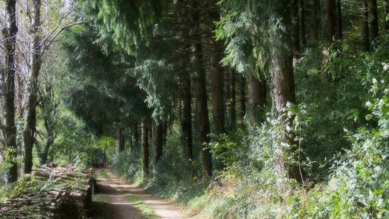 Photo of Others in Bout-du-Pont-de-Larn