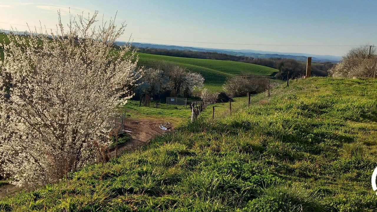 Photo of Others in Terre-Clapier