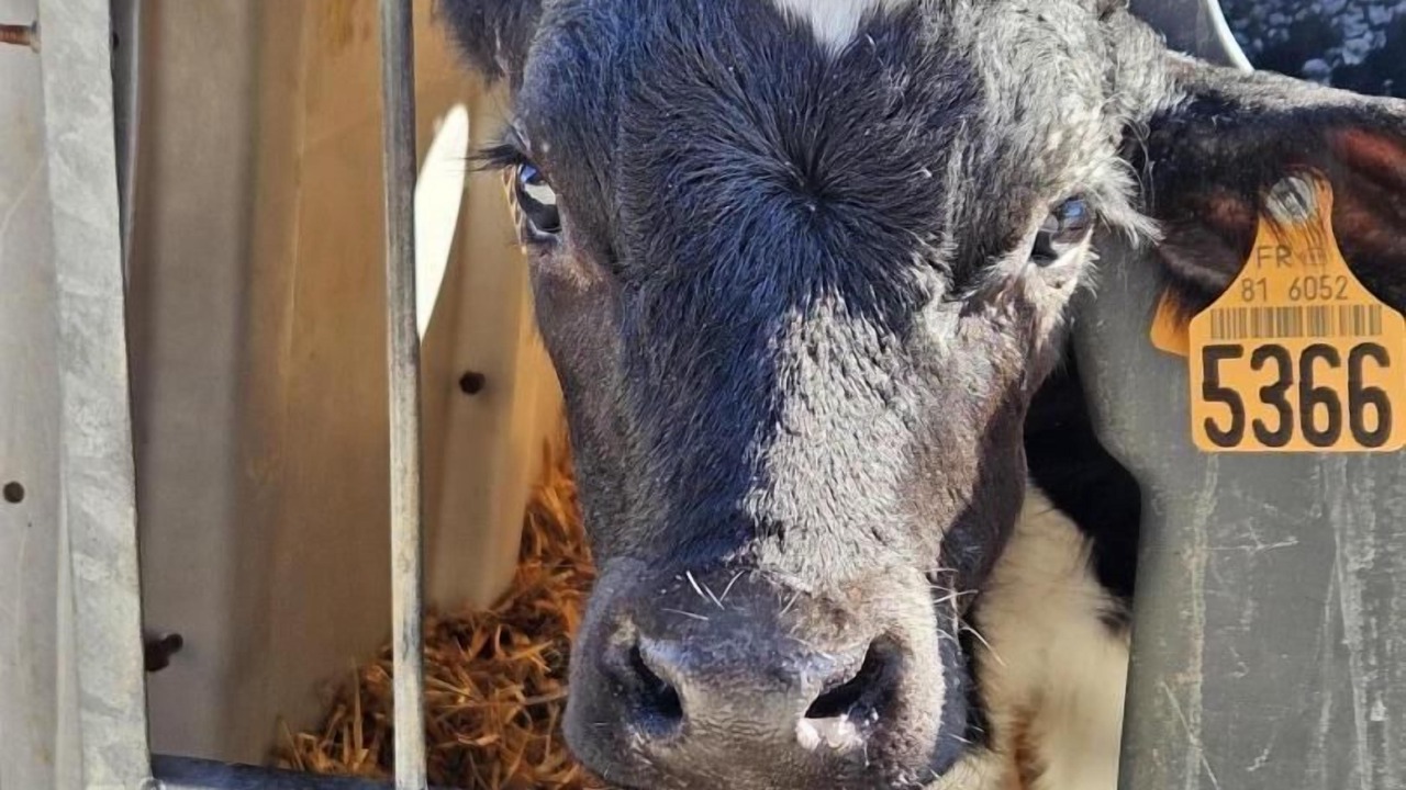 Photo of Others in Terre-Clapier