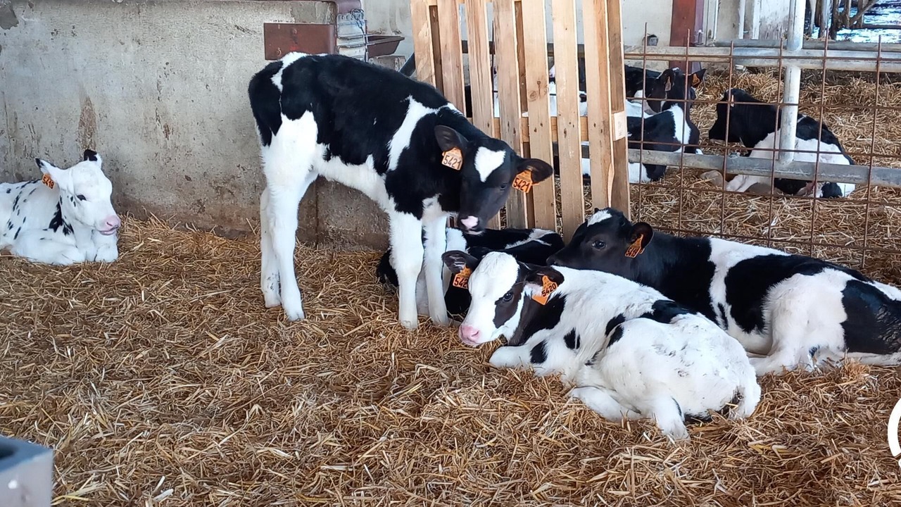 Photo of Others in Terre-Clapier