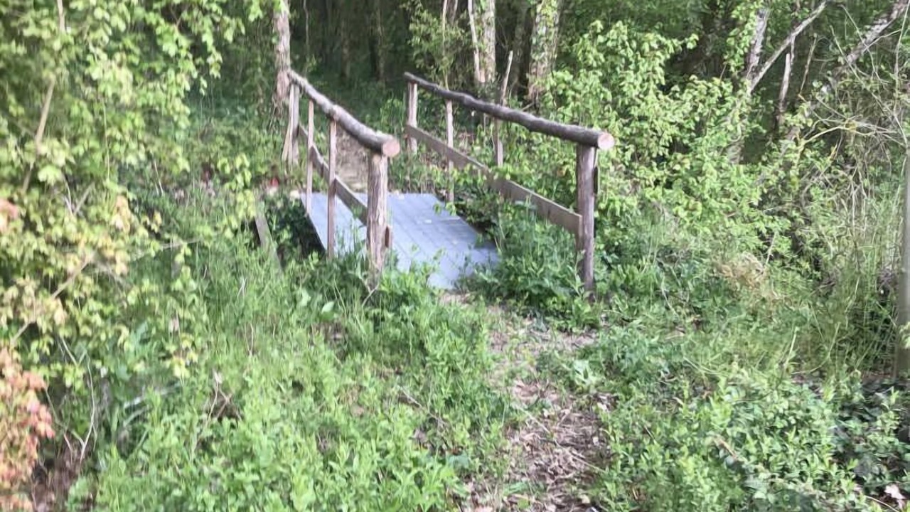 Photo of Outdoor in Puylaurens