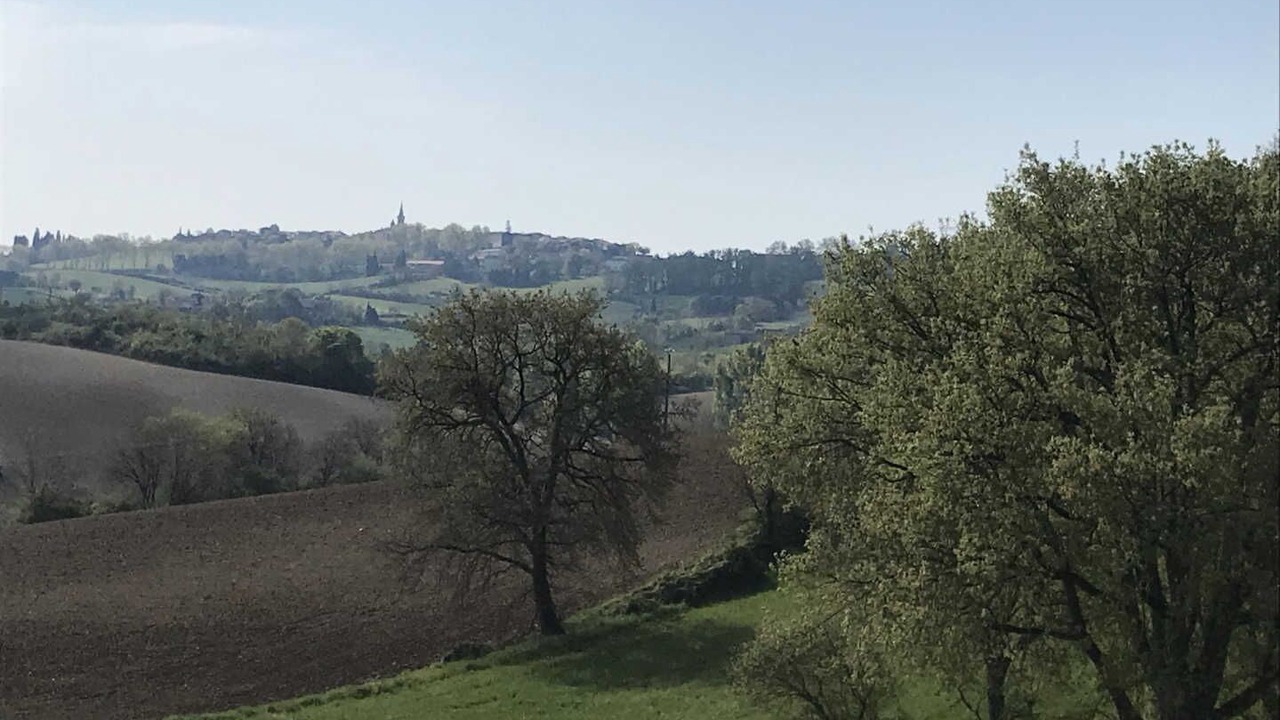 Photo of Others in Puylaurens